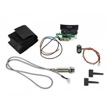 Richwood | Casa Abreu - Loja de Instrumentos Musicais