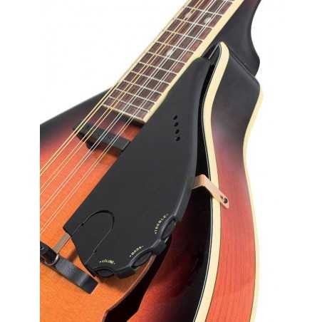 Shadow SH-928-NMG4 | Casa Abreu - Loja de Instrumentos Musicais