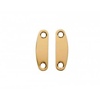 Neck Plate | Casa Abreu - Loja de Instrumentos Musicais