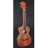 Korala UKC-610 | Casa Abreu - Loja de Instrumentos Musicais