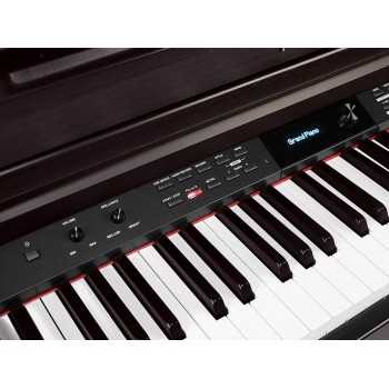 Medeli DP460K/RW | Casa Abreu - Loja de Instrumentos Musicais