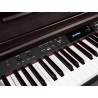 Medeli DP460K/RW | Casa Abreu - Loja de Instrumentos Musicais