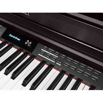 Medeli DP460K/RW | Casa Abreu - Loja de Instrumentos Musicais