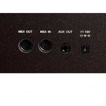Medeli DP460K/RW | Casa Abreu - Loja de Instrumentos Musicais
