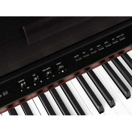 Medeli DP650K/RW | Casa Abreu - Loja de Instrumentos Musicais