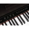Medeli DP650K/RW | Casa Abreu - Loja de Instrumentos Musicais