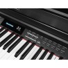 Medeli DP460K/BK | Casa Abreu - Loja de Instrumentos Musicais