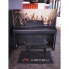 Medeli MPW-02 | Casa Abreu - Loja de Instrumentos Musicais