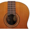 Salvador Cortez CC-60CE | Casa Abreu - Loja de Instrumentos Musicais