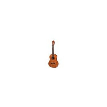 Salvador Cortez CC-22-SN | Casa Abreu - Loja de Instrumentos Musicais