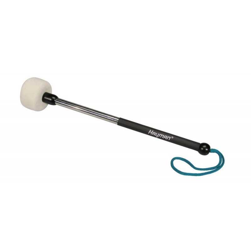 Hayman BDM-2 | Casa Abreu - Loja de Instrumentos Musicais