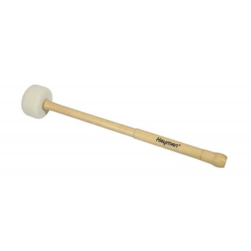 Hayman BDM-9 | Casa Abreu - Loja de Instrumentos Musicais