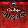 Savarez 510-AR | Casa Abreu - Loja de Instrumentos Musicais