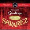 Savarez 510-ARP | Casa Abreu - Loja de Instrumentos Musicais