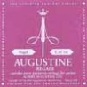 Augustine AUREG-1 | Casa Abreu - Loja de Instrumentos Musicais