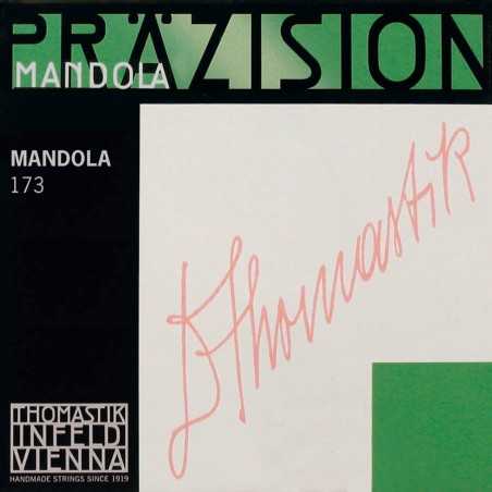 Thomastik Infeld TH-173 | Casa Abreu - Loja de Instrumentos Musicais
