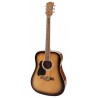 Richwood RD-12L-SB | Casa Abreu - Loja de Instrumentos Musicais