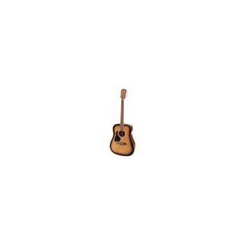 Richwood RD-12L-SB | Casa Abreu - Loja de Instrumentos Musicais