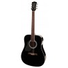 Richwood RD-12L-BK | Casa Abreu - Loja de Instrumentos Musicais