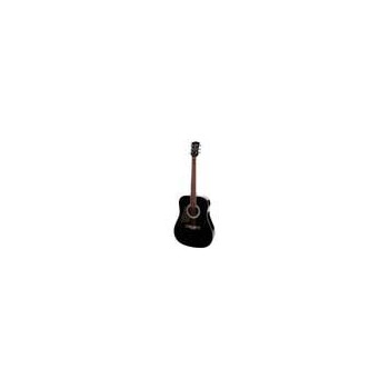 Richwood RD-12L-BK | Casa Abreu - Loja de Instrumentos Musicais