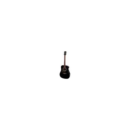 Richwood RD-12L-BK | Casa Abreu - Loja de Instrumentos Musicais
