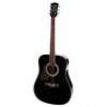 Richwood RD-12L-BK | Casa Abreu - Loja de Instrumentos Musicais
