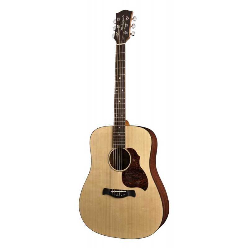 Richwood D-20 | Casa Abreu - Loja de Instrumentos Musicais