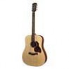 Richwood D-20 | Casa Abreu - Loja de Instrumentos Musicais