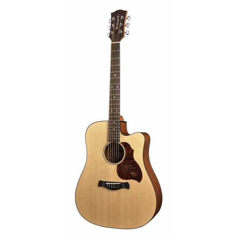 Richwood D-20-CE | Casa Abreu - Loja de Instrumentos Musicais