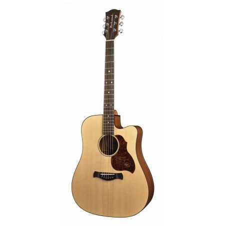 Richwood D-20-CE | Casa Abreu - Loja de Instrumentos Musicais