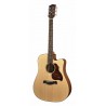 Richwood D-20-CE | Casa Abreu - Loja de Instrumentos Musicais