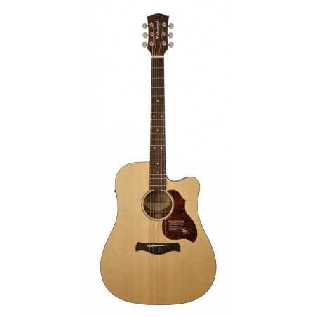 Richwood D-20-CE | Casa Abreu - Loja de Instrumentos Musicais