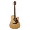 Richwood D-20-CE | Casa Abreu - Loja de Instrumentos Musicais