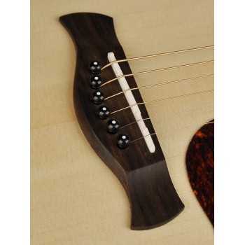 Richwood D-20-CE | Casa Abreu - Loja de Instrumentos Musicais