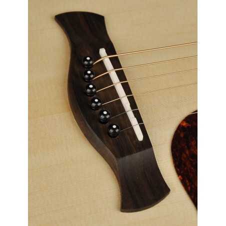 Richwood D-20-CE | Casa Abreu - Loja de Instrumentos Musicais