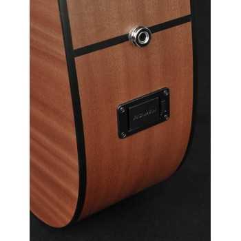 Richwood D-20-CE | Casa Abreu - Loja de Instrumentos Musicais