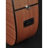 Richwood D-20-CE | Casa Abreu - Loja de Instrumentos Musicais