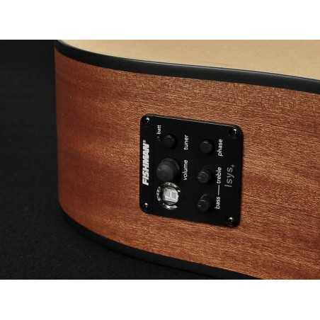 Richwood D-20-CE | Casa Abreu - Loja de Instrumentos Musicais