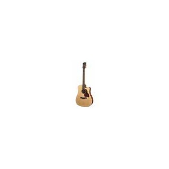 Richwood D-20-CE | Casa Abreu - Loja de Instrumentos Musicais