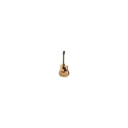 Richwood D-20-CE | Casa Abreu - Loja de Instrumentos Musicais
