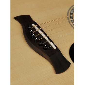 Richwood G-40-CE | Casa Abreu - Loja de Instrumentos Musicais