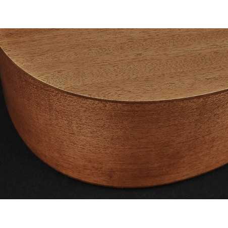 Richwood G-50-CE | Casa Abreu - Loja de Instrumentos Musicais