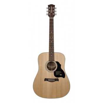 Richwood D-60 | Casa Abreu - Loja de Instrumentos Musicais