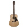 Richwood D-60 | Casa Abreu - Loja de Instrumentos Musicais