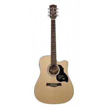 Richwood D-60-CE | Casa Abreu - Loja de Instrumentos Musicais