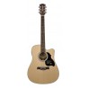 Richwood D-60-CE | Casa Abreu - Loja de Instrumentos Musicais