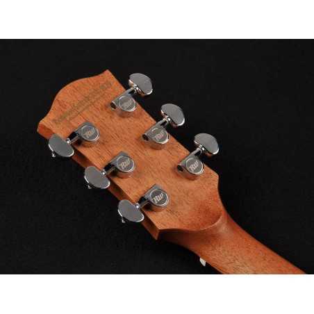 Richwood D-60-CE | Casa Abreu - Loja de Instrumentos Musicais