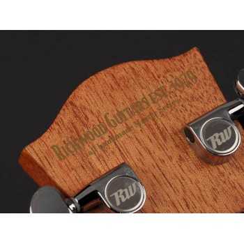 Richwood D-60-CE | Casa Abreu - Loja de Instrumentos Musicais