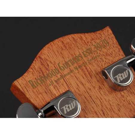 Richwood D-60-CE | Casa Abreu - Loja de Instrumentos Musicais