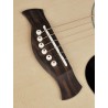 Richwood D-60-CE | Casa Abreu - Loja de Instrumentos Musicais